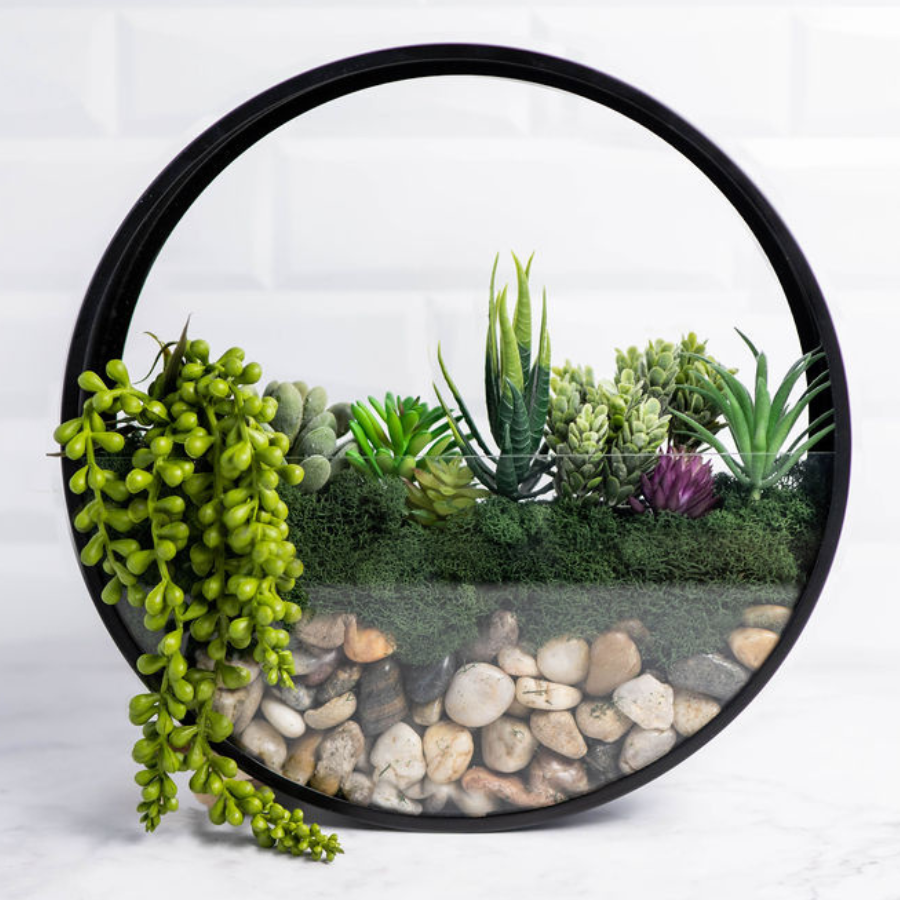 Create a Wall Terrarium