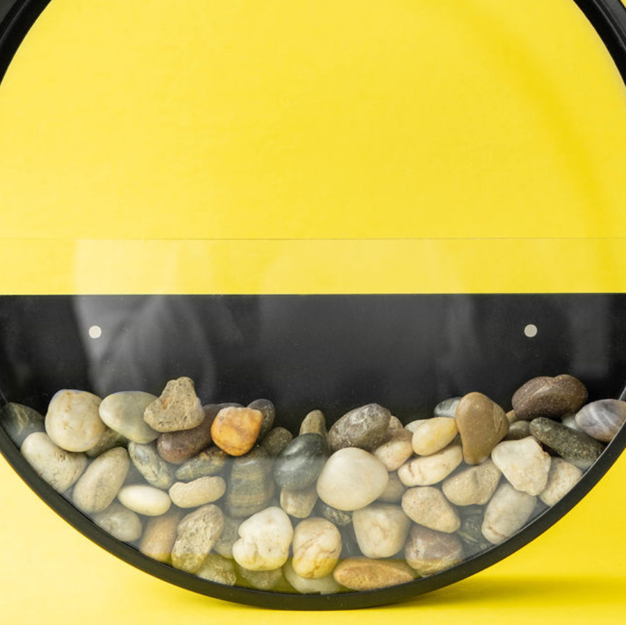 Create a Wall Terrarium