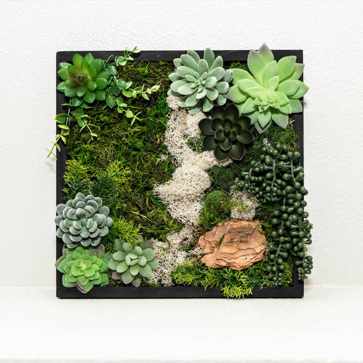 moss walls indoor including succulents Create a Moss Wall