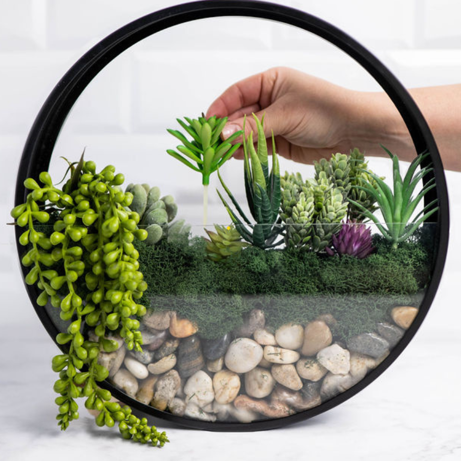 Create a Wall Terrarium
