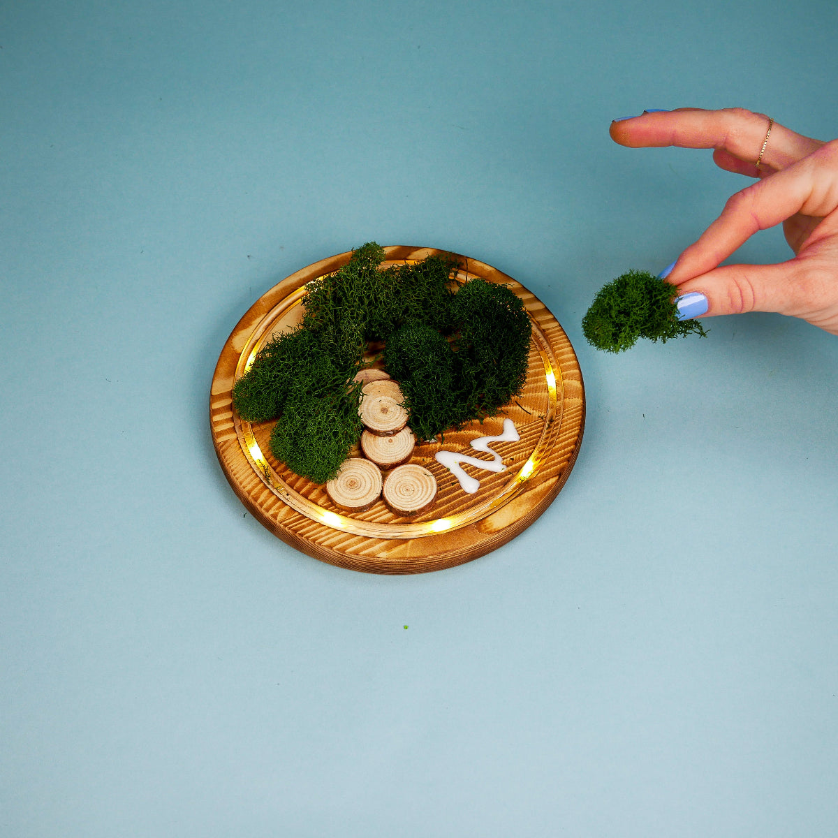 Build an LED Fairy Garden